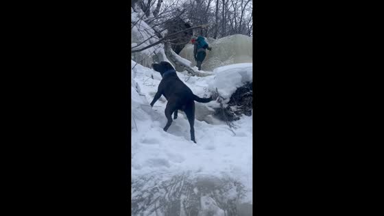 Dog follows owner up frozen waterfall in Bashkortostan, Russia