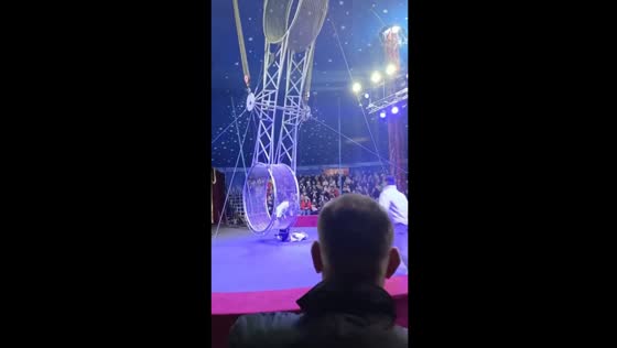 Brazilian acrobat takes a tumble but emerges unscathed in Russia circus performance