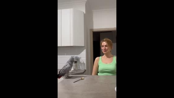 Parrot imitates owner's dance in Moscow, Russia