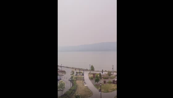 Unprecedented wildfire smoke engulfs New York City: a choking reminder of Canada's inferno
