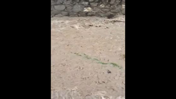 Severe floodwater flows through street in Shandong, China
