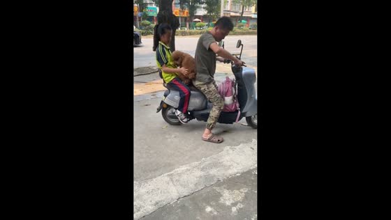 Poodle adorably tries to join scooter ride in Guangxi, China