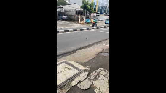 Mouse hides inside bag and escapes in Jakarta, Indonesia