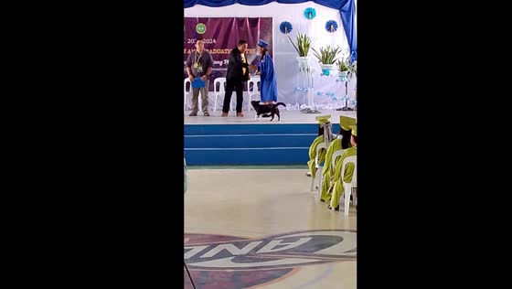 Dedicated dog steals the show at graduation ceremony