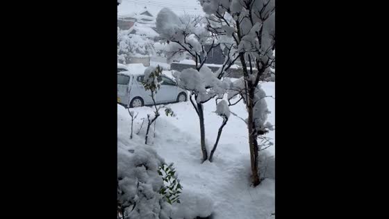 Morning snowy scenery in Kita Ward, Niigata City