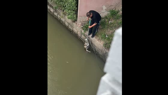 Person rescues cat from water using mop in Shanghai