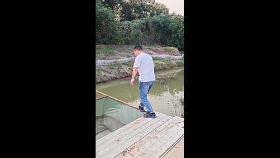 Man falls into a fish pond while walking across a wooden fence in Hubei, China