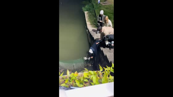 Locals rescue kitten stuck on net fence in Zhejiang, China