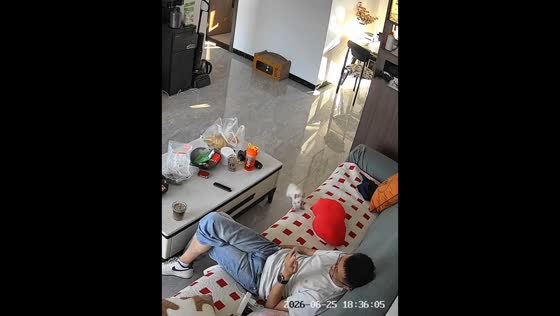 Cat slaps man's face before running away in Yunnan, China
