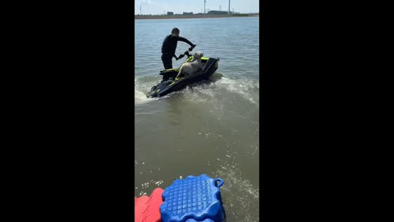 Dog eagerly joins jet ski ride in Hebei, China