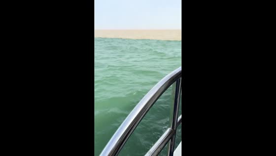 Halocline creates distinct sea water colors in Shandong, China