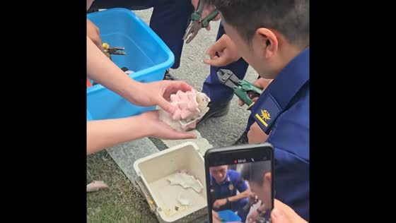 Hamster rescued after getting stuck in porcelain in Zhejiang, China