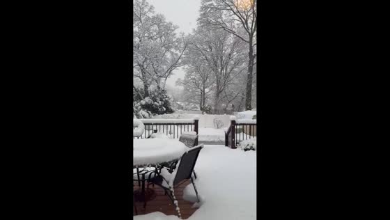 Heavy wet snow blankets East Islip during winter snowfall, New York, USA