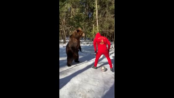 Unconventional football: nutmegging a bear