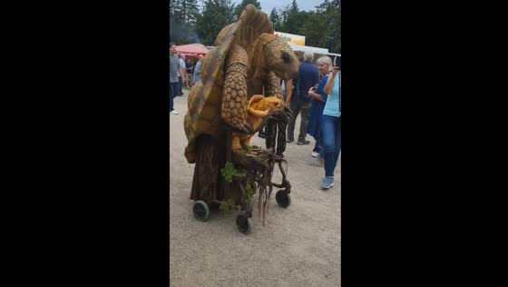 Tortoise costume and wheelchair parade in Ludwigslust, Germany