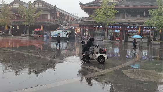 Labrador rides an electric scooter in the rain in Sichuan, China
