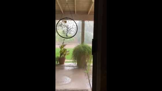 Severe thunderstorm unleashes torrential rain and damaging winds in North Phoenix, USA
