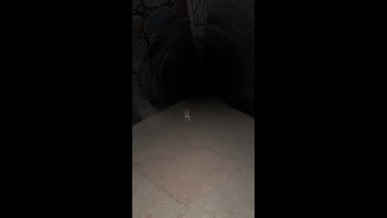 Loud scream in tunnel startles people in Odesa, Ukraine