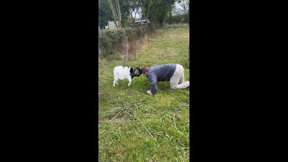 Man shares playful moment with small goat in Caen, France