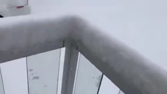 Heavy snowfall blankets Hamilton, Ontario