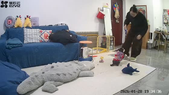 Puppy injures leg chasing toy in Sichuan, China