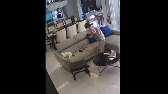 Cat takes over favorite spot on sofa in Nong Khai, Thailand