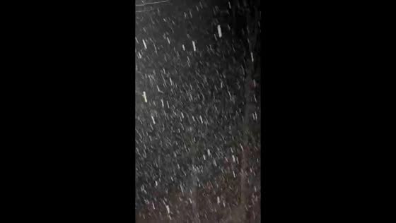 Heavy snowfall at high elevation in Roaring Creek, North Carolina, USA