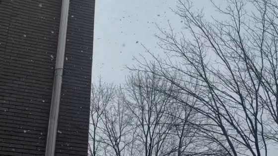 Heavy snowfall blankets Bloomfield streets and neighborhoods, New Jersey, USA