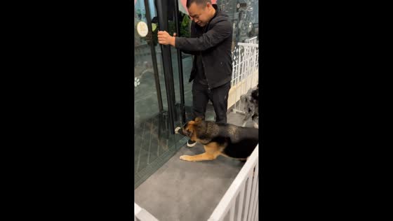  German shepherd cries as owner leaves in Guangdong, China