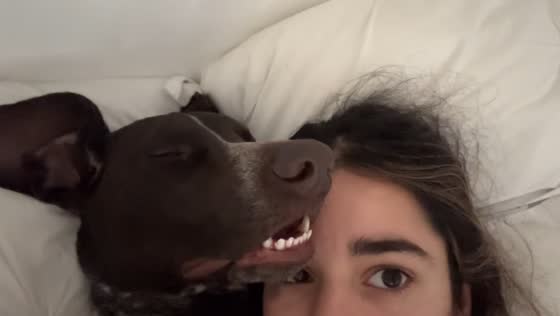 Dog snores loudly before energetic morning burst in London, England, UK