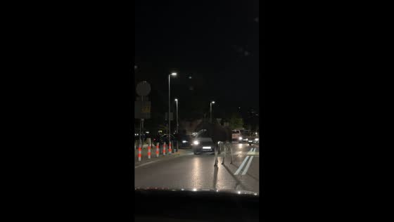 Loose moose spotted walking on street, causes traffic in Bielany, Warsaw, Poland