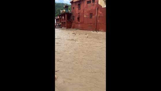 Monkey swept away in floods in Saharanpur, India