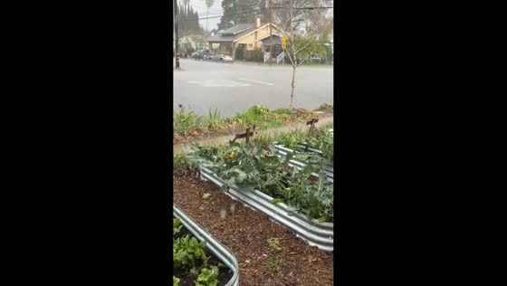 Heavy rainfall floods residential streets in California, USA