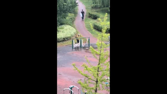 Dogs adorably stay seated on an air walker as their owner makes it swing in Jiangsu, China