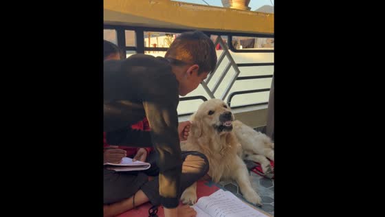 Max shows protective behavior around girl, growls at boy