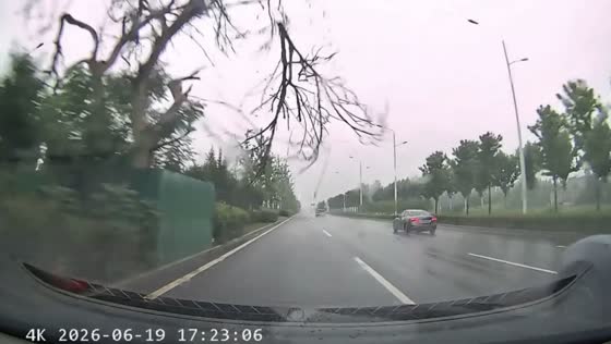 Tree branch crashes onto windshield during rainy drive in Anhui, China