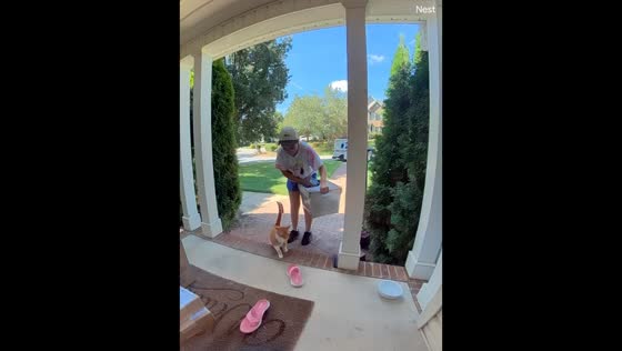 Orange cat greets USPS mail carrier during delivery in Greenville, USA