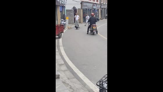Fearless crow playfully taunts tethered dog in Sichuan, China