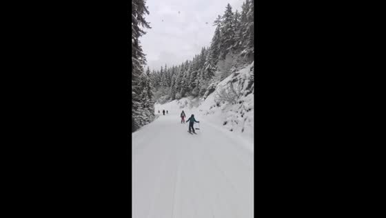 Squirrel narrowly avoids collision on ski path in Verbier, Switzerland