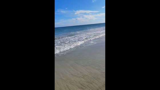 Windy evening beach walk with dogs in North Carolina, USA
