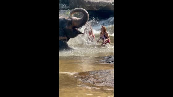 Mother-daughter bonding: magical moments with a rescued elephant in Mae Wang, Thailand