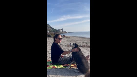 Woman plays with dogs in Pristina, Kosovo