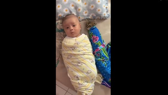 Swaddle buddies: heartwarming video shows cat and baby bonding in Ciamis, Indonesia
