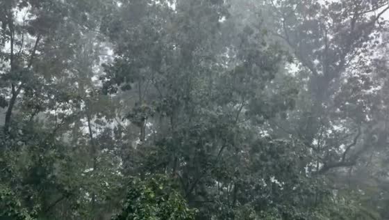 Frequent lightning and torrential rain hit Hackettstown, New Jersey, USA