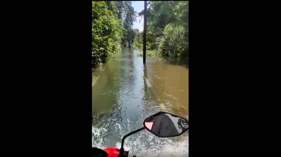 The Mahakam River floods and submerges the bridge in Indonesia