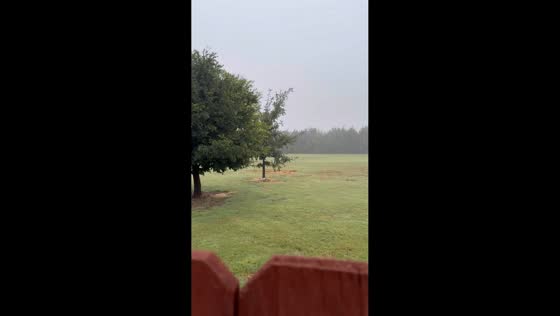 Foggy morning rain brings relief to wheat fields in Ulysses, Kansas