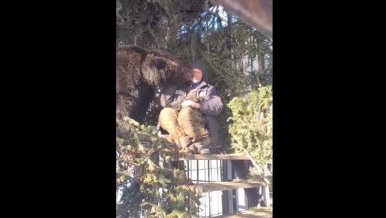 A heartwarming bond between man and bear at Mishkin's Lair, Khabarovsk Territory!