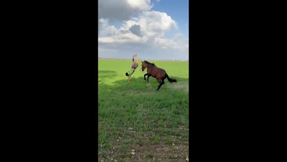Teenager falls from horse during playful mishap in San Francisco, Argentina