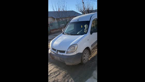 Dog honks car to signal walk in Viedma, Argentina