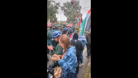 Pro-Palestinian protest disrupts Vuelta a España in Pontevedra, Spain